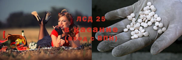 спиды Волосово