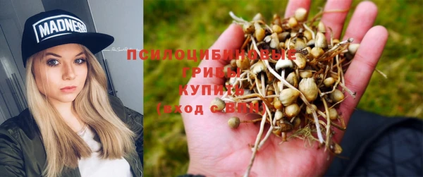 ешки Волоколамск