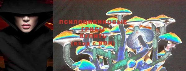 спиды Волосово