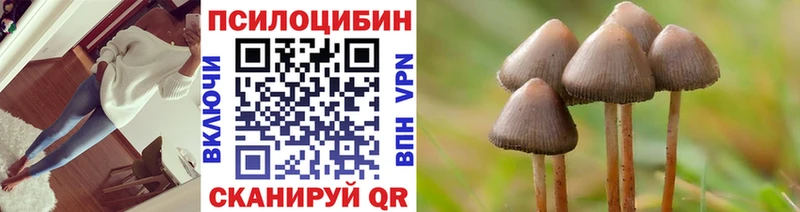 Галлюциногенные грибы мицелий  Купить  Краснотурьинск 